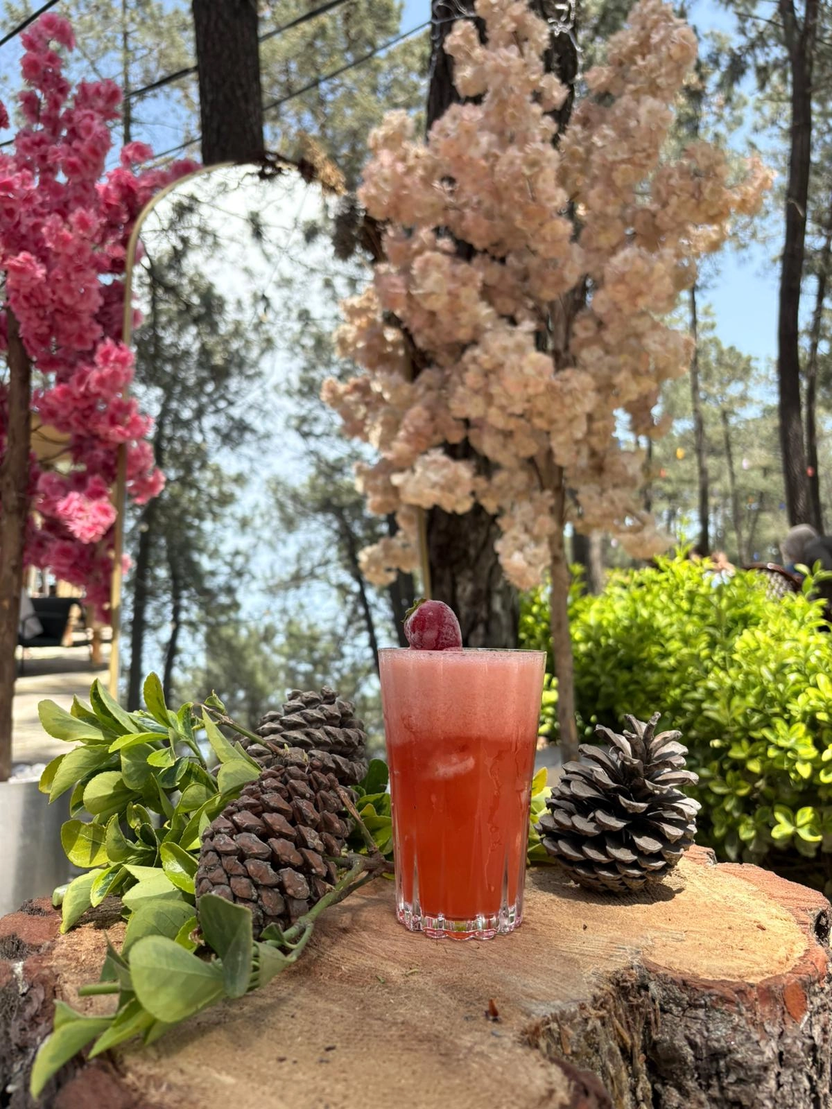 DOĞAL ÇİLEKLİ LİMONATA